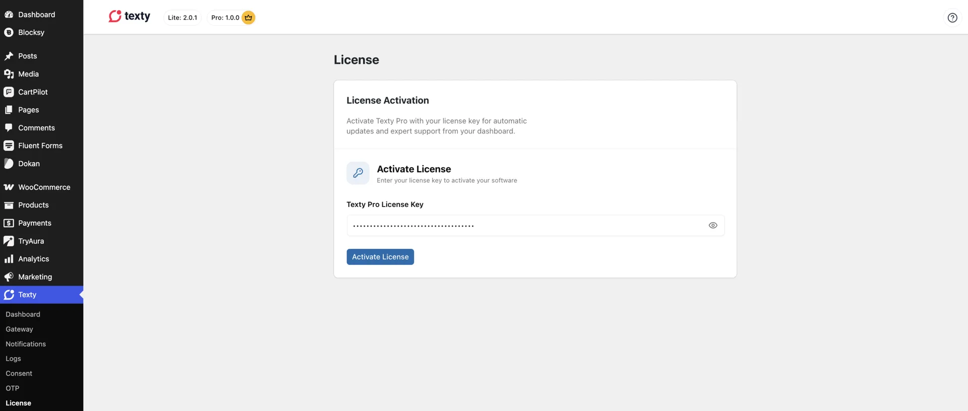 Texty License page with the License Key field filled in and the Activate License button ready to click